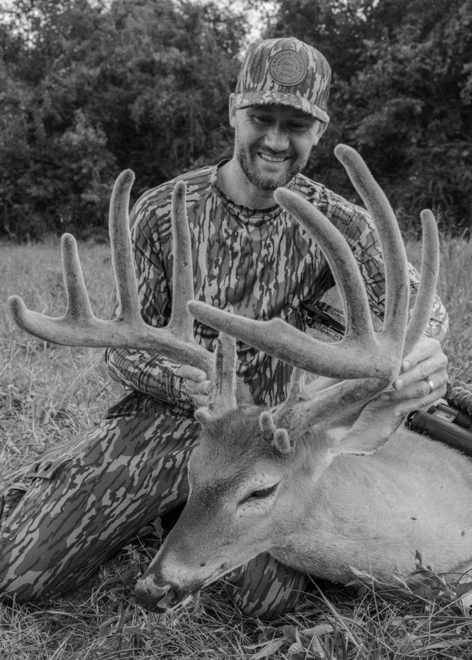 velvet buck