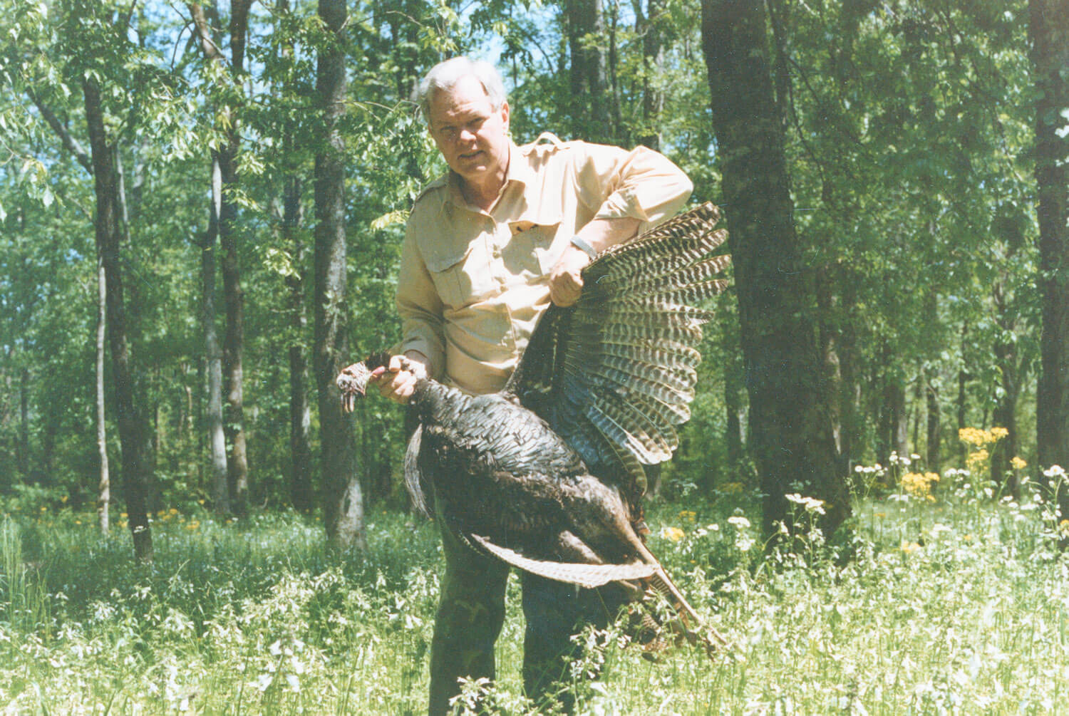 mr fox and turkey