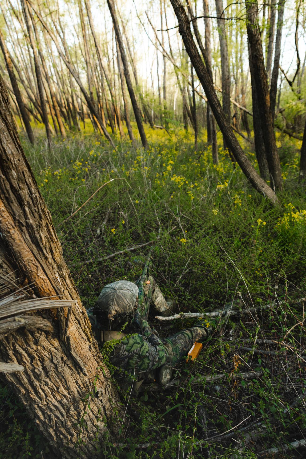 turkey hunting