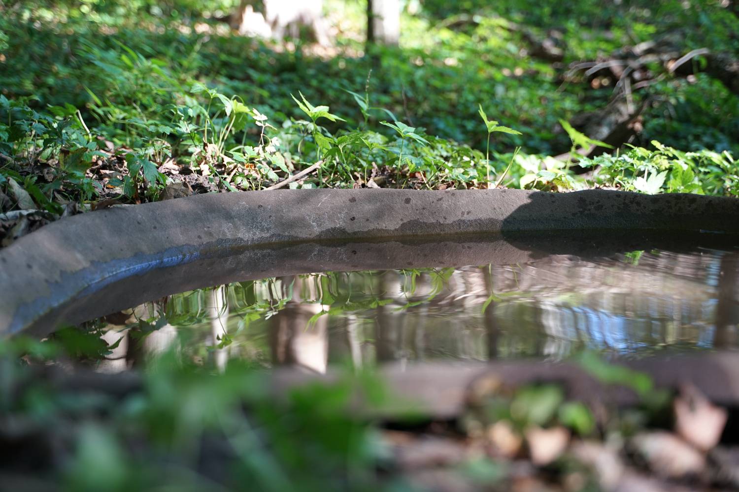 water source