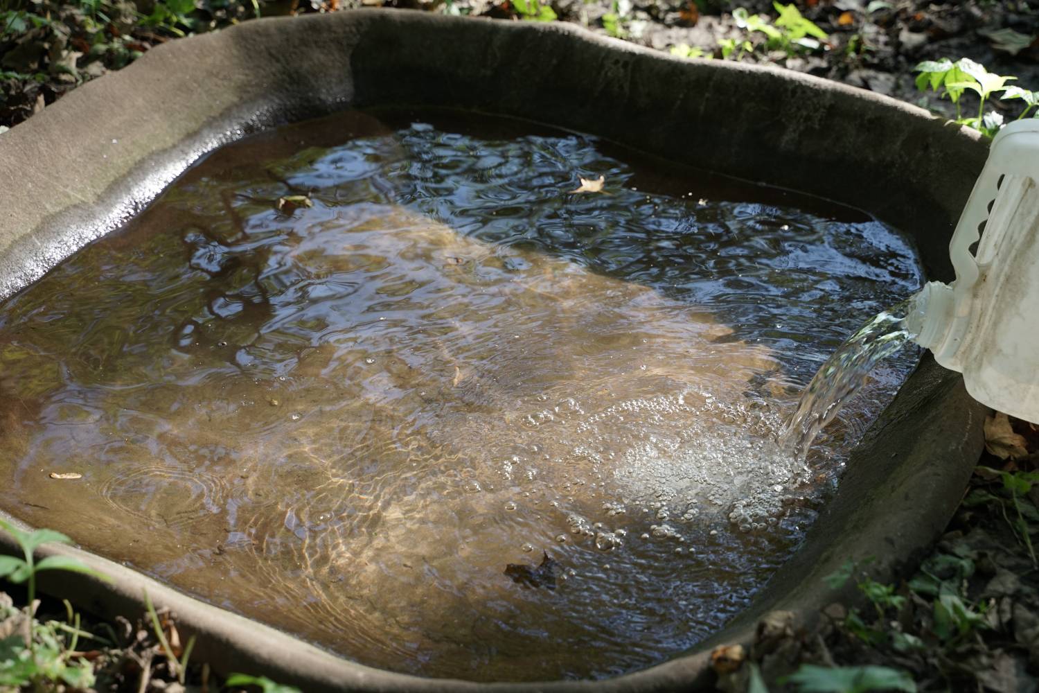 water source