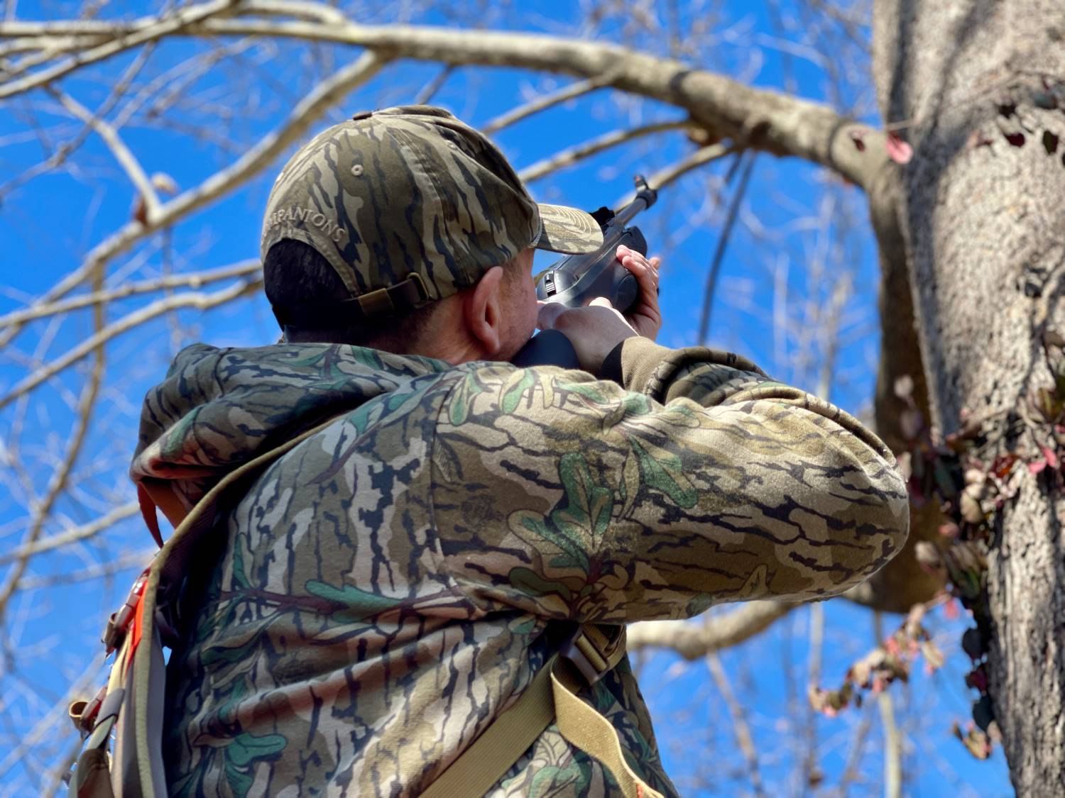 squirrel. hunting